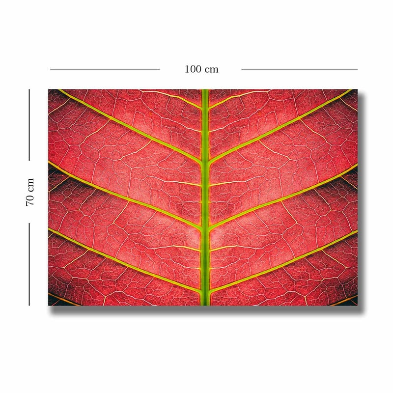 Dekorativ Canvasbillede 70x100 cm - Flerfarvet - Boligtilbehør - Billeder & kunst - Billeder på lærred