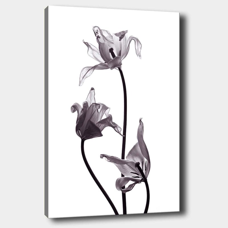 Dekorativ Canvasbillede 70x100 cm - Flerfarvet - Boligtilbehør - Billeder & kunst - Billeder på lærred