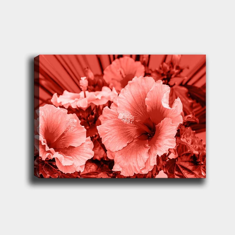 Dekorativ Canvasbillede 70x100 cm - Flerfarvet - Boligtilbehør - Billeder & kunst - Billeder på lærred