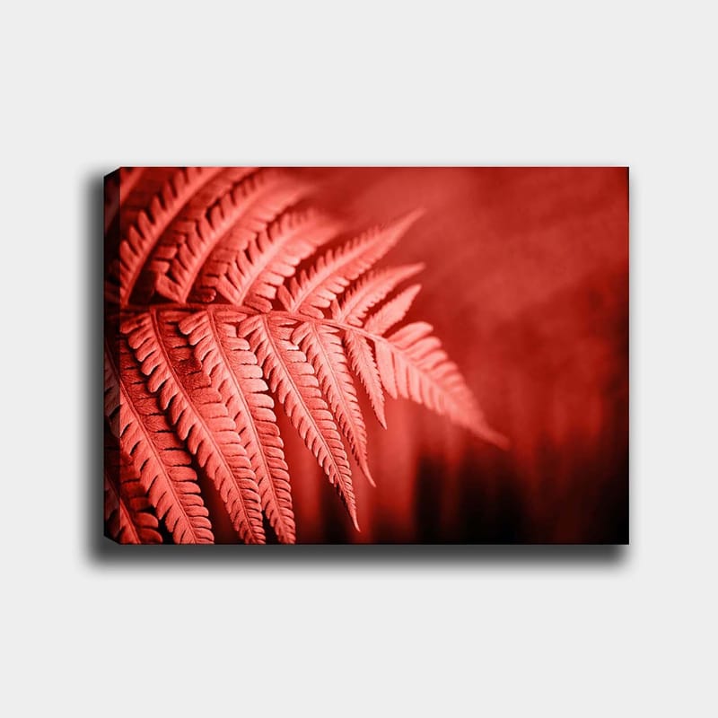 Dekorativ Canvasbillede 70x100 cm - Flerfarvet - Boligtilbehør - Billeder & kunst - Billeder på lærred