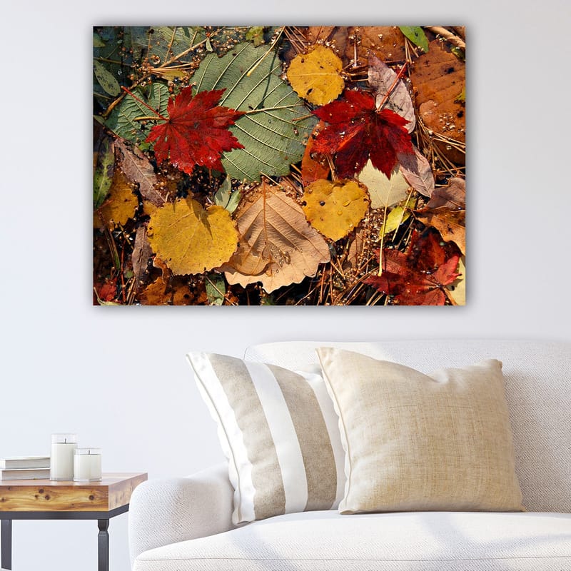 Dekorativ Canvasbillede 70x100 cm - Flerfarvet - Boligtilbehør - Billeder & kunst - Billeder på lærred