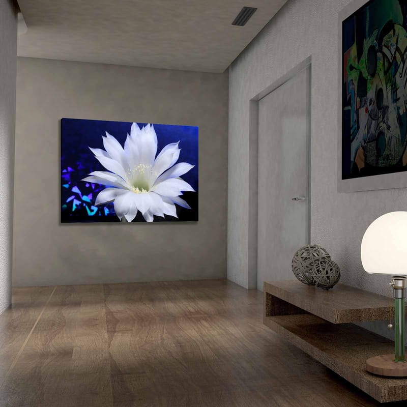 Dekorativ Canvasbillede 70x100 cm - Flerfarvet - Boligtilbehør - Billeder & kunst - Billeder på lærred