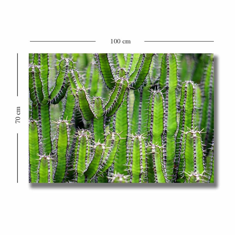Dekorativ Canvasbillede 70x100 cm - Flerfarvet - Boligtilbehør - Billeder & kunst - Billeder på lærred