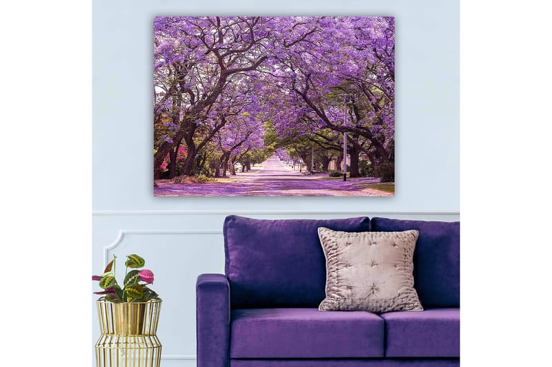 Dekorativ Canvasbillede 70x100 cm - Flerfarvet - Boligtilbehør - Billeder & kunst - Billeder på lærred