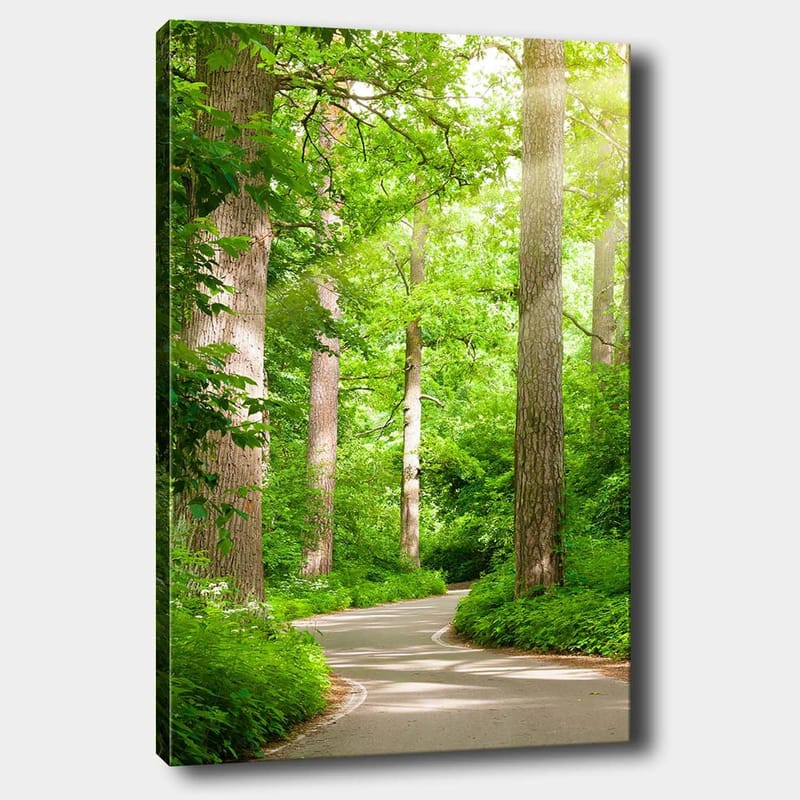 Dekorativ Canvasbillede 70x100 cm - Flerfarvet - Boligtilbehør - Billeder & kunst - Billeder på lærred