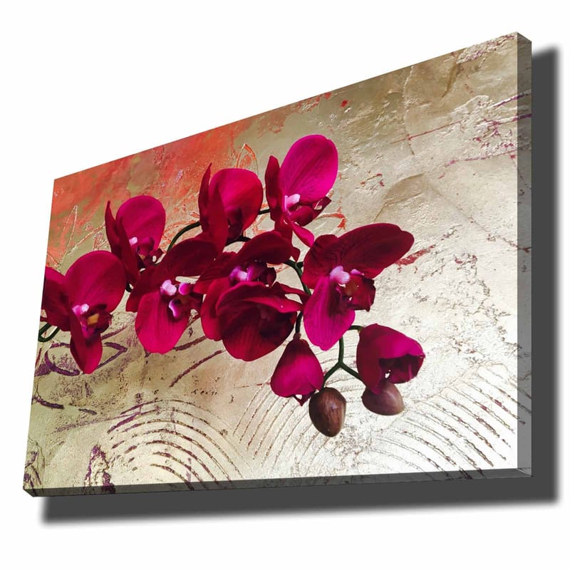 Dekorativ Canvasbillede 70x100 cm - Flerfarvet - Boligtilbehør - Billeder & kunst - Billeder på lærred