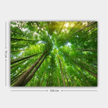 Dekorativ Canvasbillede 70x100 cm - Flerfarvet - Boligtilbehør - Billeder & kunst - Billeder på lærred