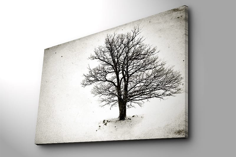 Dekorativ Canvasbillede 70x100 cm - Flerfarvet - Boligtilbehør - Billeder & kunst - Billeder på lærred