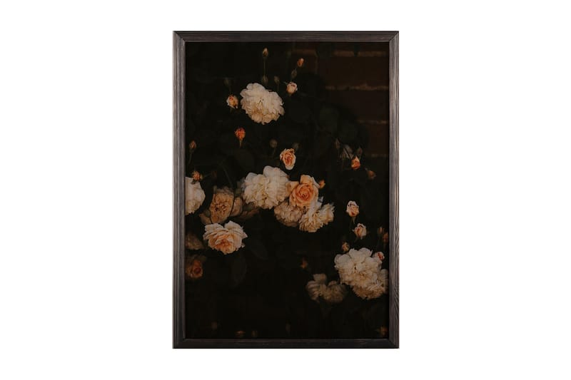 Dekorativ indrammet maleri  35x50 cm - Flerfarvet - Boligtilbehør - Billeder & kunst - Billeder på lærred