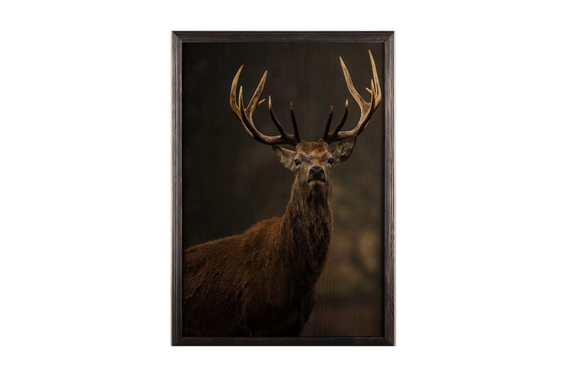 Dekorativ indrammet maleri  50x70 cm - Flerfarvet - Boligtilbehør - Billeder & kunst - Billeder på lærred