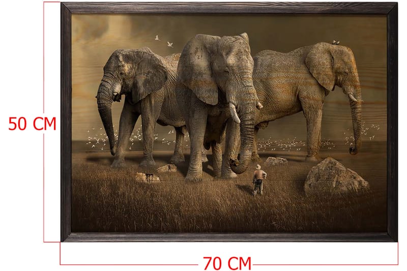Dekorativ indrammet maleri  50x70 cm - Flerfarvet - Boligtilbehør - Billeder & kunst - Billeder på lærred