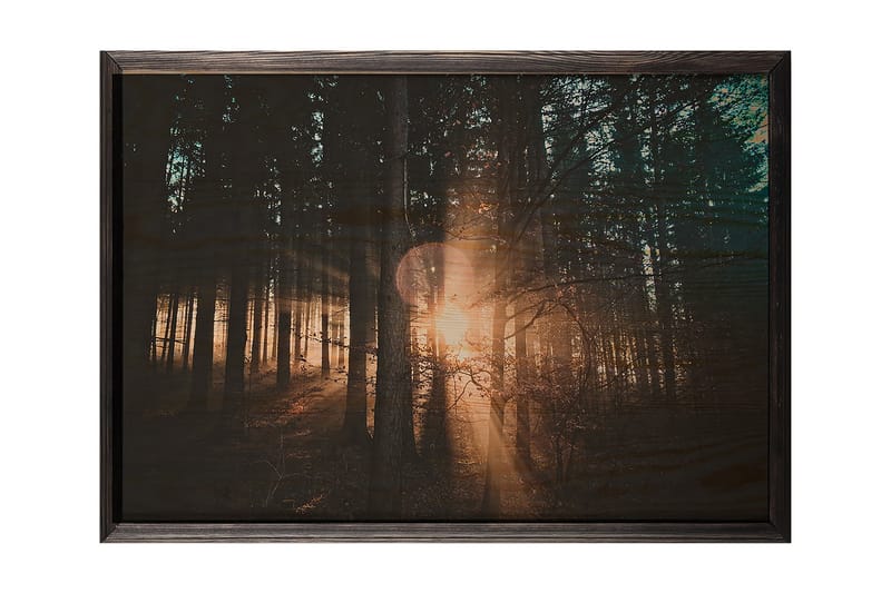 Dekorativ indrammet maleri  50x70 cm - Flerfarvet - Boligtilbehør - Billeder & kunst - Billeder på lærred
