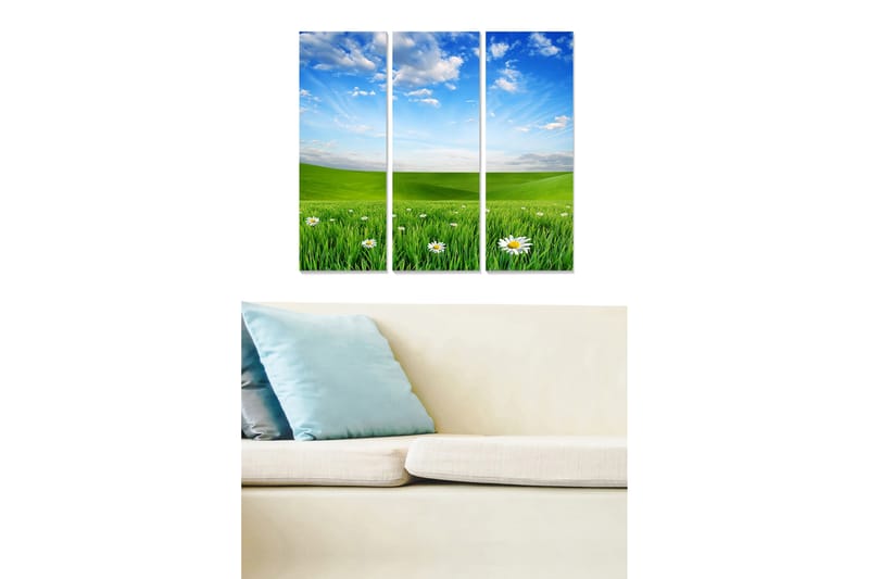 Dekorativ MDF-maleri 3-Dele 20x50 cm - Flerfarvet - Boligtilbehør - Billeder & kunst - Billeder på lærred