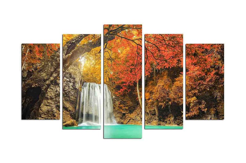 Dekorativ MDF-maleri 5-Dele 20x60 cm - Flerfarvet - Billeder på lærred