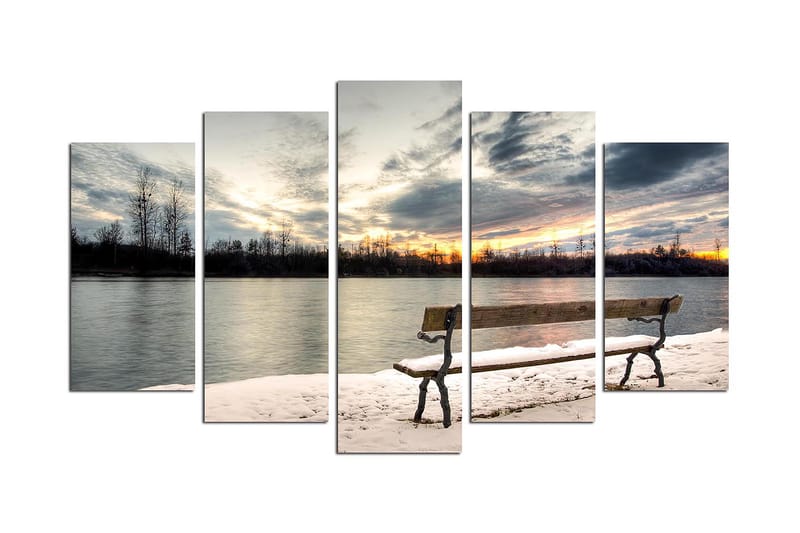 Dekorativ MDF-maleri 5-Dele 20x60 cm - Flerfarvet - Boligtilbehør - Billeder & kunst - Billeder på lærred