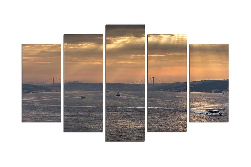 Dekorativ MDF-maleri 5-Dele 20x60 cm, Flerfarvet