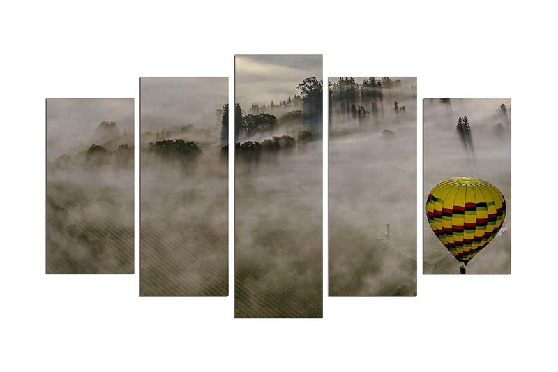 Dekorativ MDF-maleri 5-Dele 20x60 cm, Flerfarvet