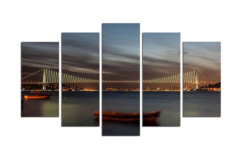 Dekorativ MDF-maleri 5-Dele 20x60 cm, Flerfarvet