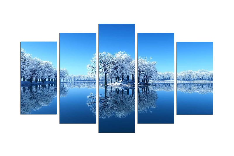 Dekorativ MDF-maleri 5-Dele 20x60 cm, Flerfarvet