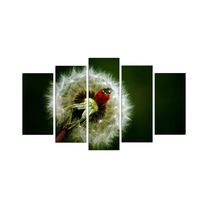 Dekorativ MDF-maleri 5-Dele 20x60 cm, Flerfarvet