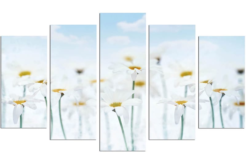 Dekorativ MDF-maleri 5-Dele 20x60 cm - Flerfarvet - Boligtilbehør - Billeder & kunst - Billeder på lærred