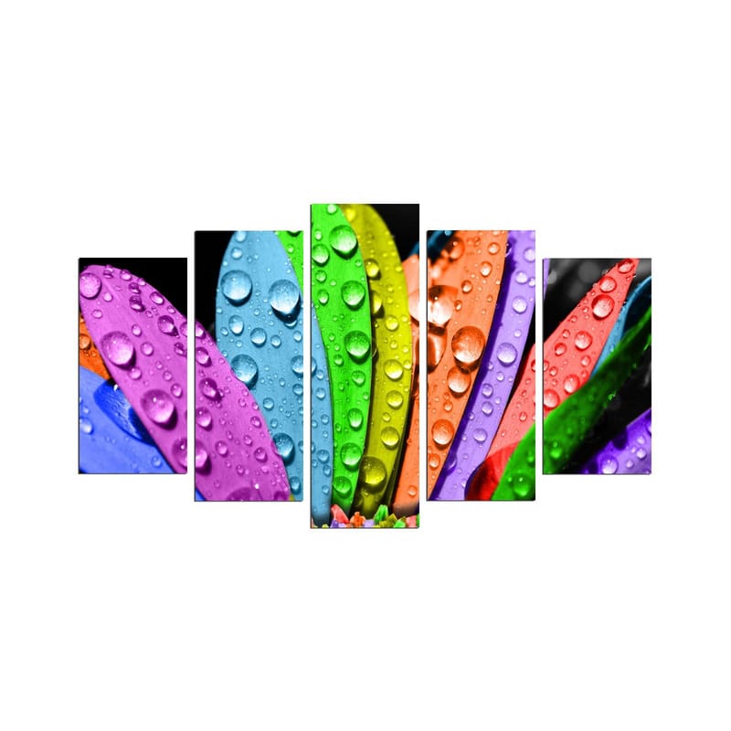Dekorativ MDF-maleri 5-Dele 20x60 cm, Flerfarvet