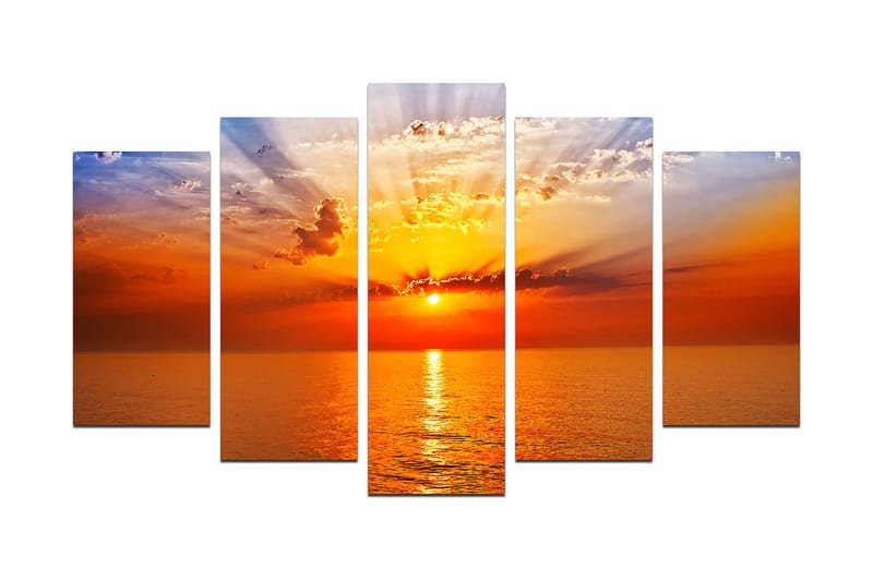 Dekorativ MDF-maleri 5-Dele 20x60 cm, Flerfarvet