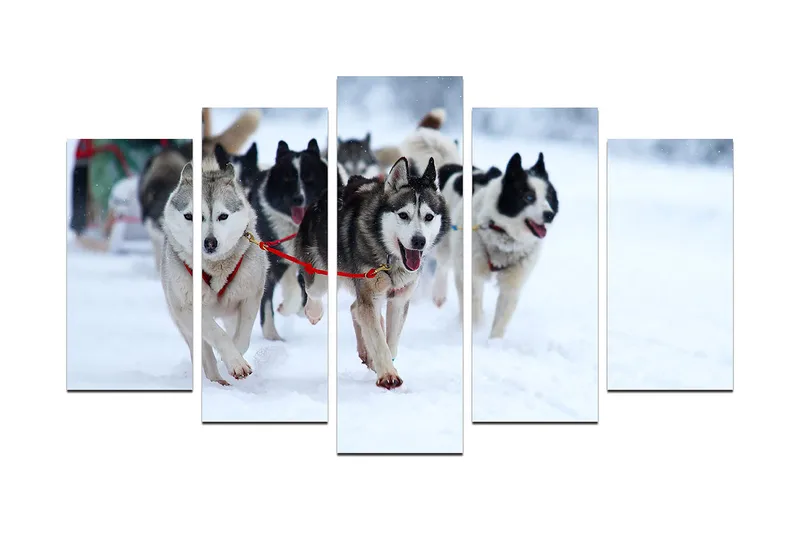 Dekorativ MDF-maleri 5-Dele 20x60 cm, Flerfarvet