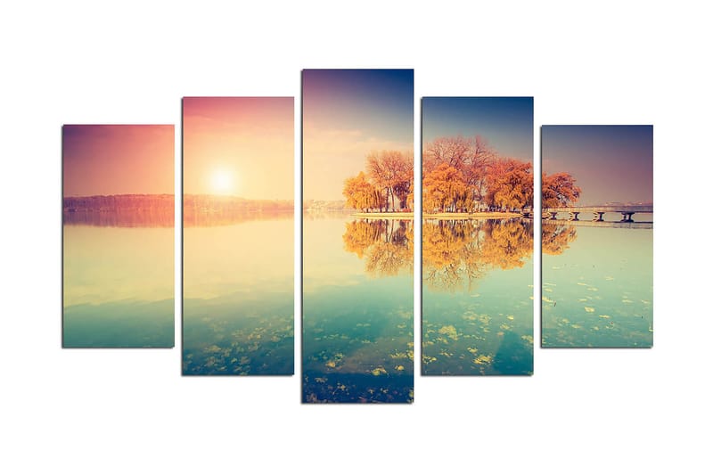 Dekorativ MDF-maleri 5-Dele 20x60 cm, Flerfarvet