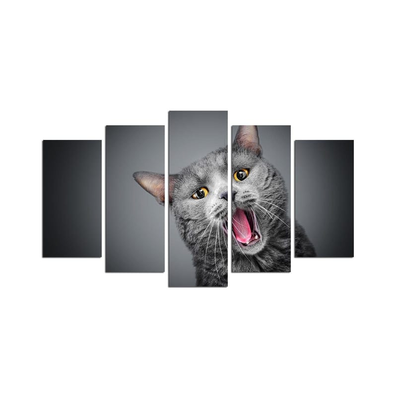 Dekorativ MDF-maleri 5-Dele 20x60 cm, Flerfarvet