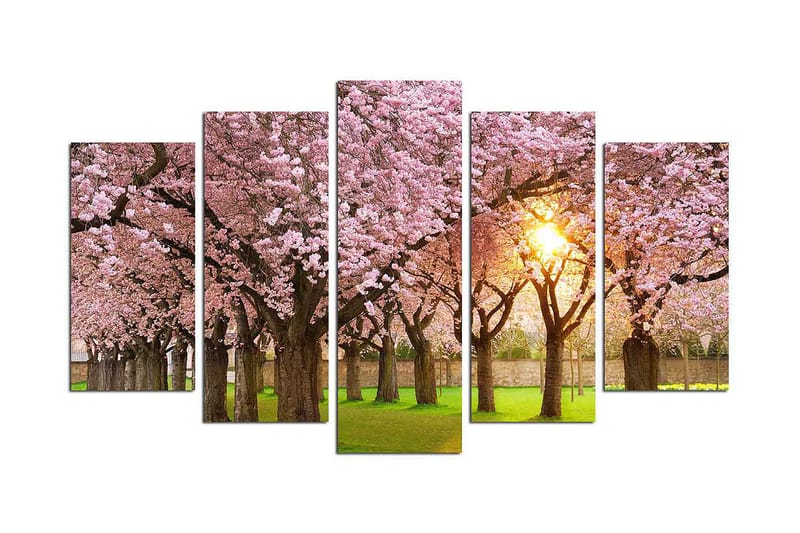 Dekorativ MDF-maleri 5-Dele 20x60 cm, Flerfarvet