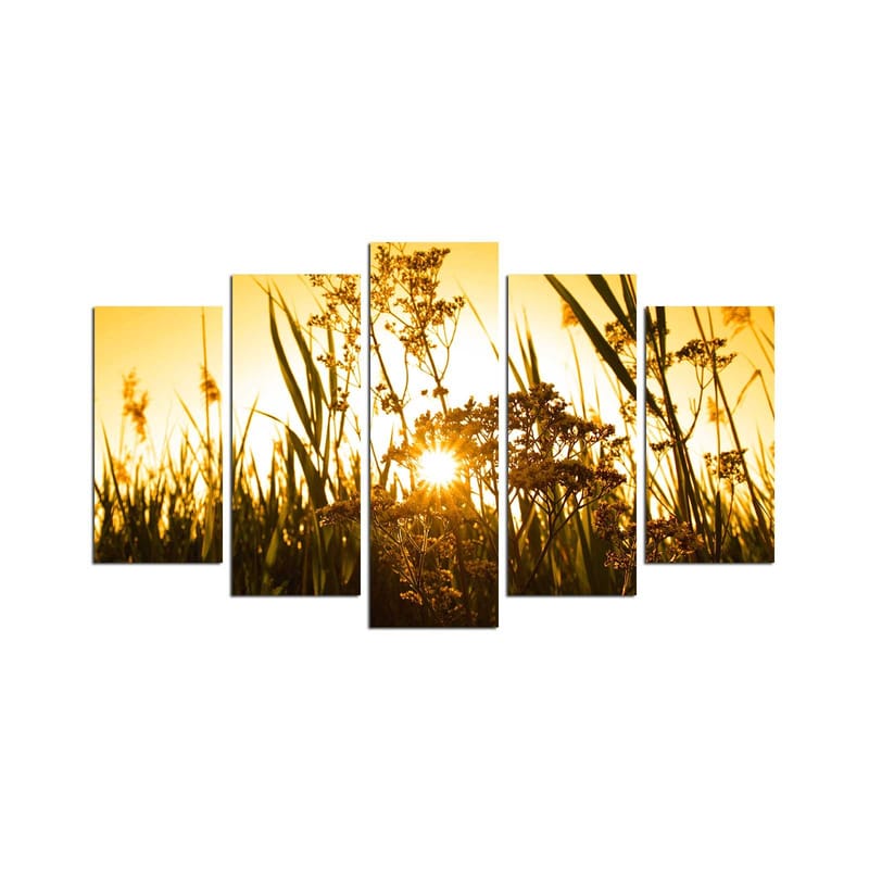 Dekorativ MDF-maleri 5-Dele 20x60 cm, Flerfarvet