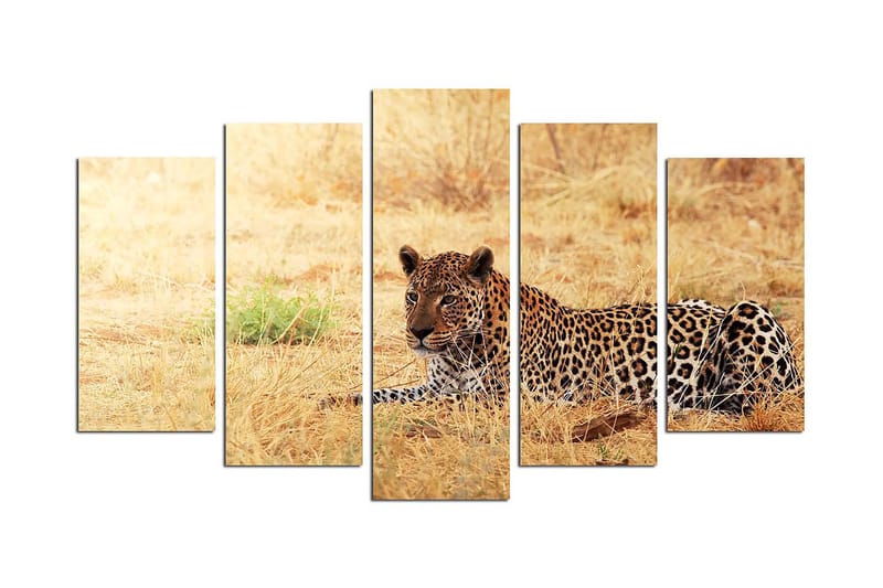 Dekorativ MDF-maleri 5-Dele 20x60 cm, Flerfarvet