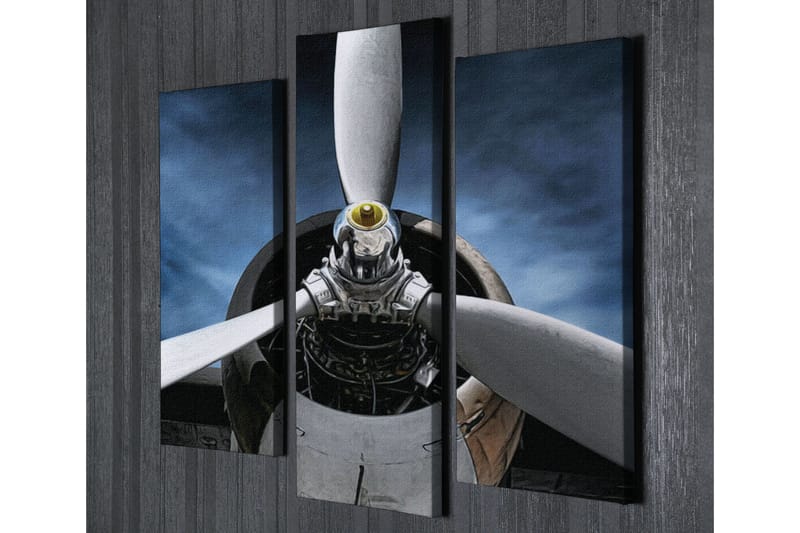 Dekorativt Canvas Maleri 3 Dele - Flerfarvet - Boligtilbehør - Billeder & kunst - Billeder på lærred