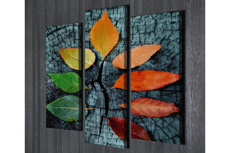 Dekorativt Canvas Maleri 3 Dele - Flerfarvet - Boligtilbehør - Billeder & kunst - Billeder på lærred