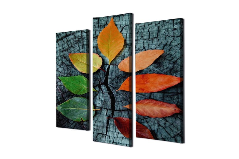 Dekorativt Canvas Maleri 3 Dele - Flerfarvet - Boligtilbehør - Billeder & kunst - Billeder på lærred