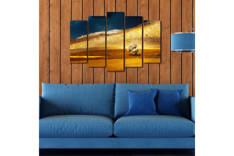 Dekorativt Canvas Maleri 5 Dele - Flerfarvet - Boligtilbehør - Billeder & kunst - Billeder på lærred
