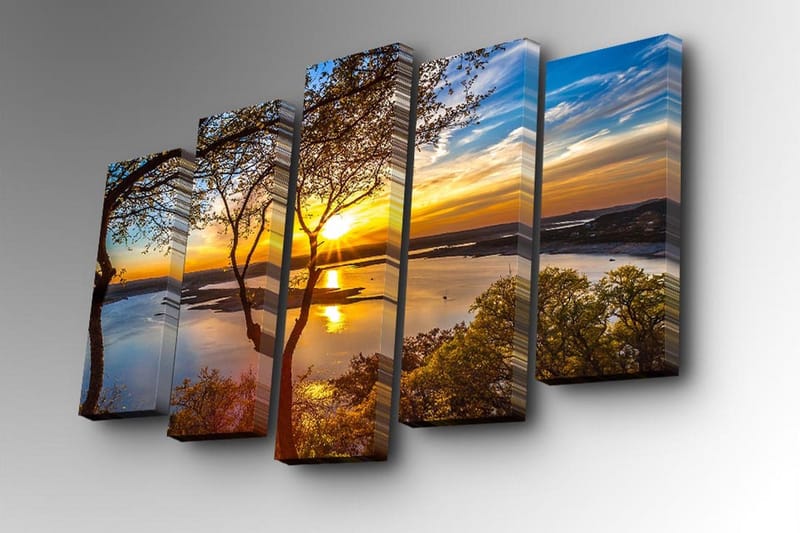 Dekorativt Canvas Maleri 5 Dele - Flerfarvet - Boligtilbehør - Billeder & kunst - Billeder på lærred
