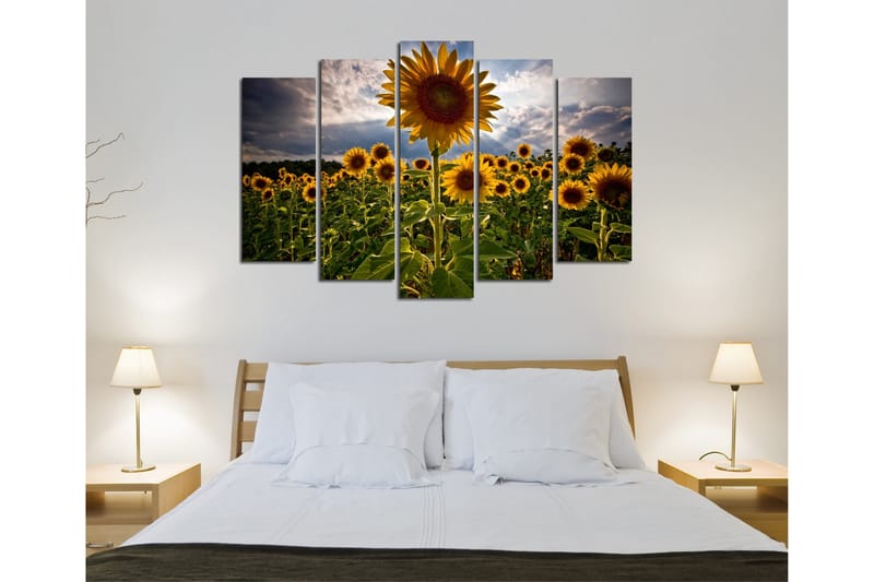 Dekorativt Canvas Maleri 5 Dele - Flerfarvet - Boligtilbehør - Billeder & kunst - Billeder på lærred