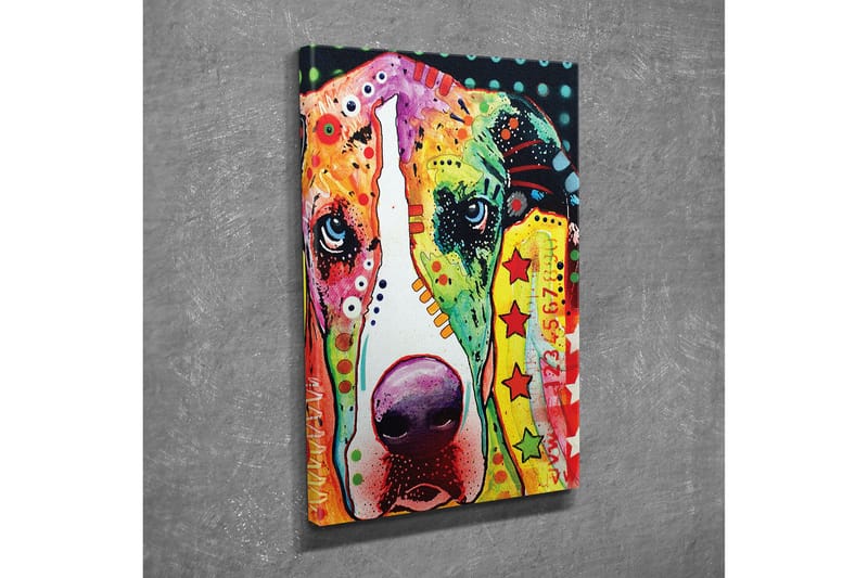 Dekorativt Canvas Maleri - Flerfarvet - Boligtilbehør - Billeder & kunst - Billeder på lærred