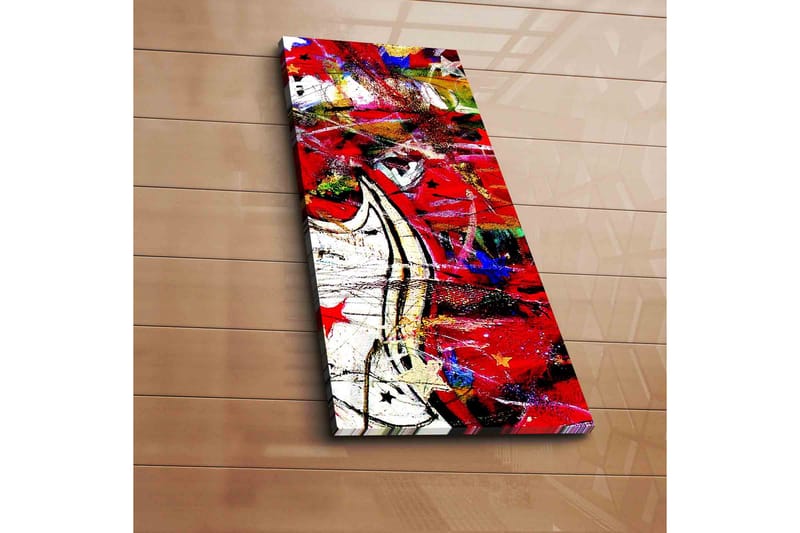 Dekorativt Canvas Maleri - Flerfarvet - Boligtilbehør - Billeder & kunst - Billeder på lærred