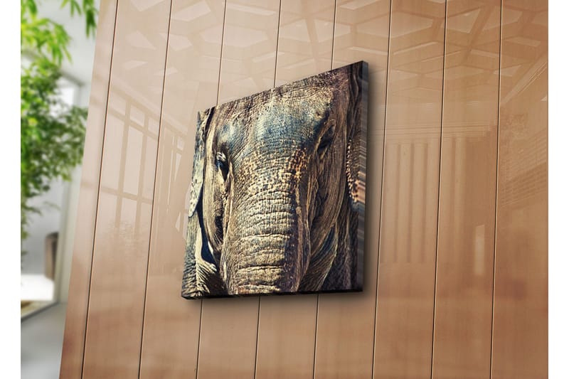 Dekorativt Canvas Maleri - Flerfarvet - Boligtilbehør - Billeder & kunst - Billeder på lærred