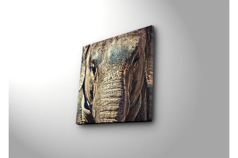 Dekorativt Canvas Maleri - Flerfarvet - Boligtilbehør - Billeder & kunst - Billeder på lærred