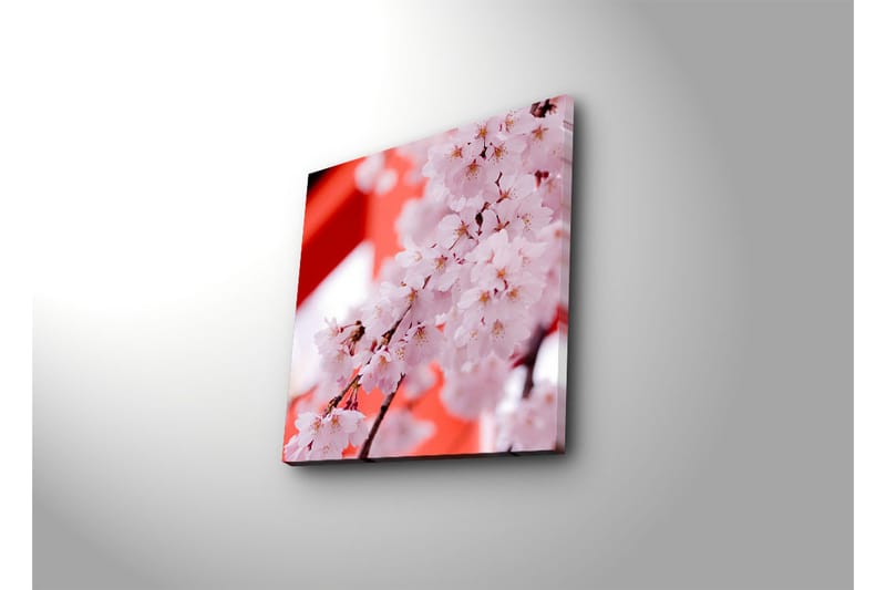 Dekorativt Canvas Maleri - Flerfarvet - Boligtilbehør - Billeder & kunst - Billeder på lærred