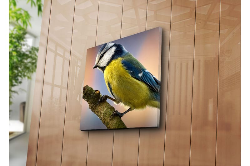 Dekorativt Canvas Maleri - Flerfarvet - Boligtilbehør - Billeder & kunst - Billeder på lærred