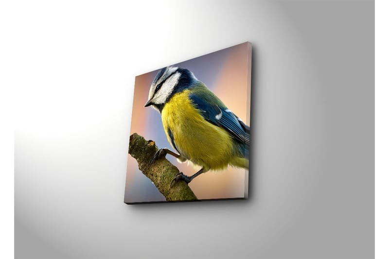 Dekorativt Canvas Maleri - Flerfarvet - Boligtilbehør - Billeder & kunst - Billeder på lærred