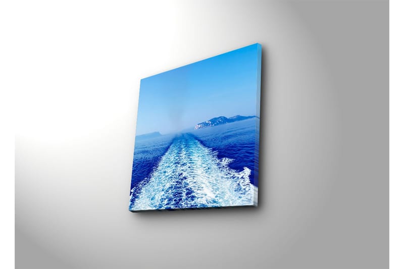 Dekorativt Canvas Maleri - Flerfarvet - Boligtilbehør - Billeder & kunst - Billeder på lærred