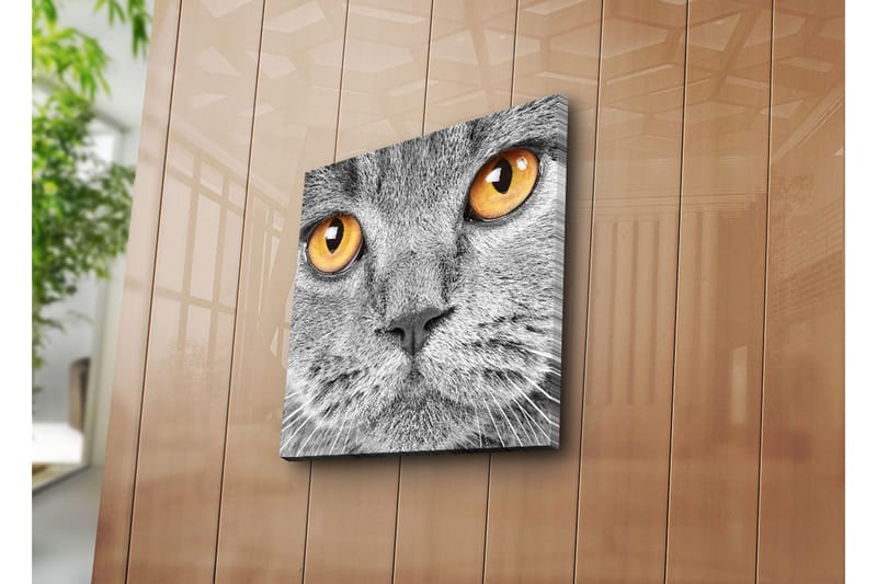 Dekorativt Canvas Maleri - Flerfarvet - Boligtilbehør - Billeder & kunst - Billeder på lærred