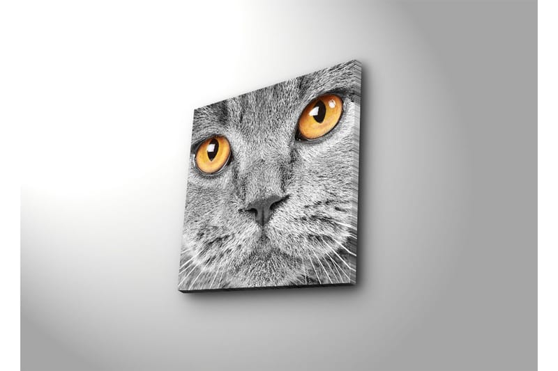 Dekorativt Canvas Maleri - Flerfarvet - Boligtilbehør - Billeder & kunst - Billeder på lærred