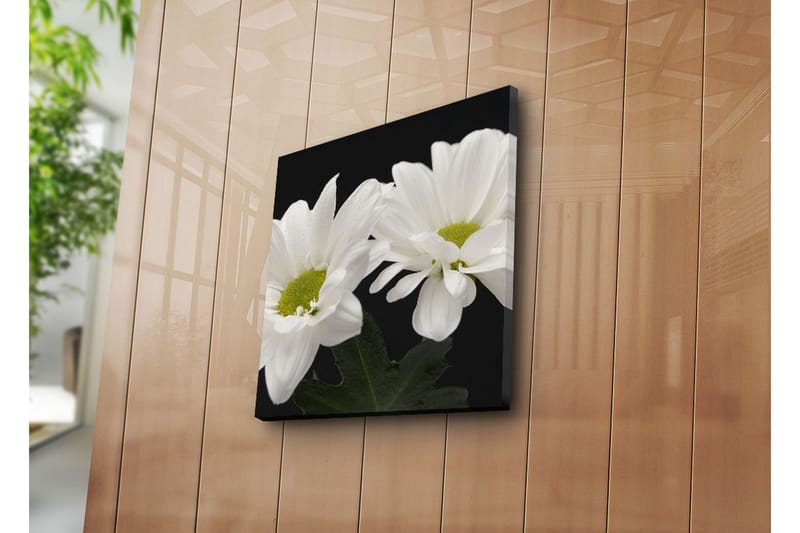 Dekorativt Canvas Maleri - Flerfarvet - Boligtilbehør - Billeder & kunst - Billeder på lærred